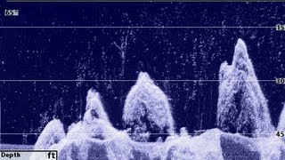 Tips n Tricks 47 Humminbird Down Imaging Settings [upl. by Alemaj]