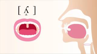 ʎ̝  voiced dorsal palatal lateral fricative [upl. by Anaila874]