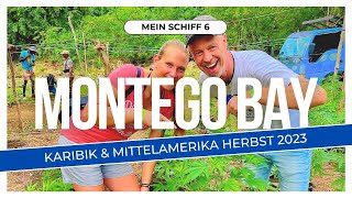 TUI Cruises Mein Schiff 6  Karibik amp Mittelamerika 2023  Vlog 03  Montego Bay  Hanf Farm amp Ricks [upl. by Noni]