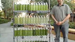 An Algae Bioreactor from Recycled Water Bottles [upl. by Cletus995]