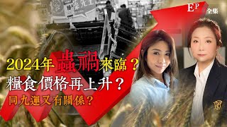 風生水起20｜2024年蟲禍來臨？糧食價格再上升？同九運又有關係？｜十點開播｜張芯熏｜梁思浩｜Mandy｜奇門遁甲天后｜九運｜奇門 [upl. by Haydon]