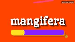 MANGIFERA  HOW TO PRONOUNCE IT [upl. by Colby]