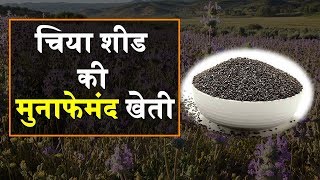 Diet में शामिल करें Kalonji Seeds और देखें अद्भुत फायदे  Women’s Health  Benefits  Recipes [upl. by Farro]