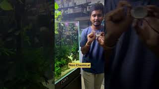 Mist maker mist vedaaquarium youtube bangalore [upl. by Hogg981]