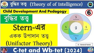 Stern Unifactor Theory  Theory Of Intelligence  Child Development and Pedagogy  Ctet And Wbtet [upl. by Persis291]