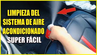 🏁 COMO LIMPIAR EL SISTEMA DE AIRE ACONDICIONADO DEL COCHE 🏁 [upl. by Onitsirc]