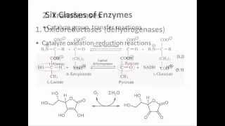 Biochemistry 94 Enzyme classification [upl. by Charleton376]