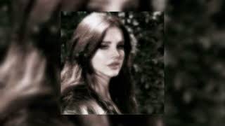 Lana Del Rey  National Anthem [upl. by Baggs]