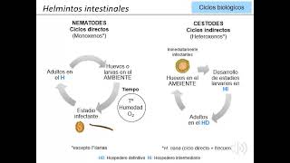 5 1 Helmintos Intestinales [upl. by Inod]