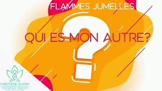 Flammes Jumelles  Qui est mon autre et qui suisje 🙂 Les influences [upl. by Alaecim751]