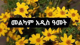 🔆2017🔴 Addis amet mezure Abebayewoshi mezmur colection orthodox Mezmur amet mezmur Addisamet [upl. by Strickman]