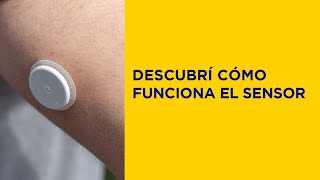 🇨🇷 ¿Cómo usar FreeStyle Libre  Descubrí cómo funciona el sensor [upl. by Janeta513]