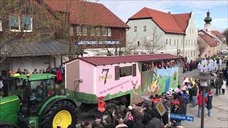 Faschingsumzug Taufkirchen 2422019 [upl. by Hubie953]