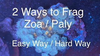 2 Ways to Frag Zoanthids  Palythoas  Zoa  Paly Fragging Saltwater Coral Reef Aquarium [upl. by Eedak615]