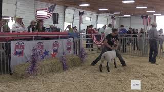 2024 Livestock Auction at Scotts Bluff County Fair [upl. by Eerot]