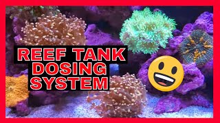 75 Gallon Reef Tank  Adding A Dosing System [upl. by Drofnats702]