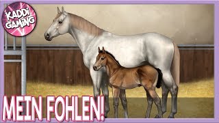 Mein erstes Fohlen ist da😍 🐎 Equine Passion 6 [upl. by Grobe107]