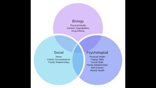 Biopsychosocial Model [upl. by Telford176]