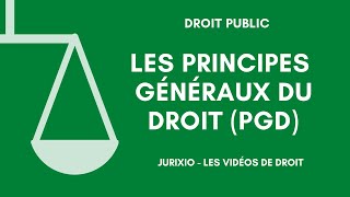 Les principes généraux du droit PGD [upl. by Etezzil]