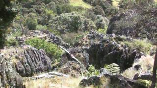 Wairere Boulders Horeke Hokianga Northland [upl. by Maddi]