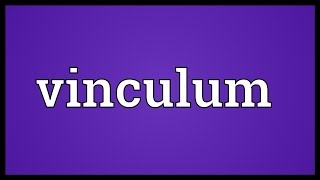 Vinculum Meaning [upl. by Nitsu820]