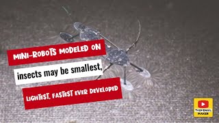 Minirobots modeled on insects may be smallest lightest fastest ever developed [upl. by Eniale]