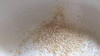 Grinding oats to a coarse texture with the KoMo Classic grain mill [upl. by Klemm]