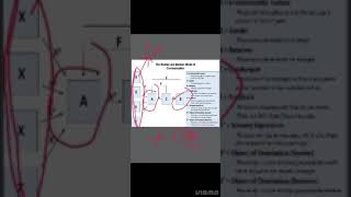 Models of communication  Interactive Models  Schramm model  Maclean Model [upl. by Malliw966]