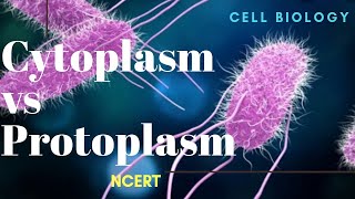 Difference between Cytoplasm and Protoplasm  NCERT [upl. by Azaria]