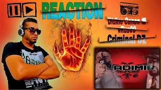 Canon 16 ft ‪ vRus09‬ Criminal DZ reaction [upl. by Cheshire]