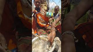 Amaizing and fantastic souphadzabe tribe [upl. by Anikehs]