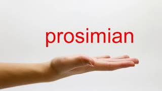 How to Pronounce prosimian  American English [upl. by Newlin]