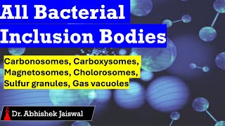 Bacterial InclusionCarbonosomesCarboxysomesMagnetosomesChlorosomesPhosphate Sulfur Granules [upl. by Ecarg]