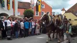 Mittelalterfest Arnstorf 2015 Festzug [upl. by Wiedmann788]