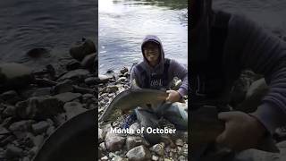 quotUltimate Fall Shore Fishing Reeling in Big Salmon for Epic Catchquot [upl. by Ebba]