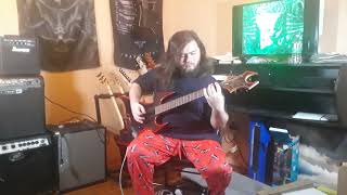 annotations of an autopsy  welcom to sludge city guitar cover [upl. by Alarick]