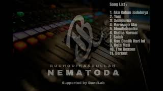 Album Vol 2 Nematoda [upl. by Daffi307]