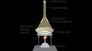 HOW CAN WE SEPARATE A MIXTURE OF SALT AND AMMONIUM CHLORIDE NCERT Class 9 [upl. by Perpetua997]