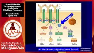 Debate How should patients with ABC type DLBCL be treated today  RCHOP [upl. by Delanie575]