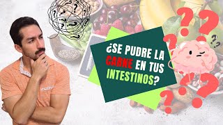 La Verdad Sobre la Fibra Salud Intestinal en una Dieta Carnivora [upl. by Madelle]