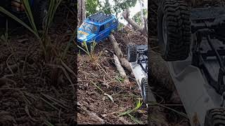 OffRoad Terguling Wpl C24 Mn78 shorts subscribe rcoffroad rccar adventure [upl. by Ynneg]