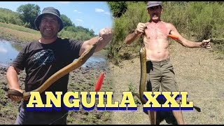 Anguila XXL tarariras y más en Pesca en agua dulce [upl. by Aineles]