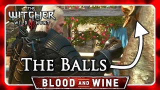 Witcher 3 🌟 BLOOD AND WINE ► Geralt Touches The Balls of the Statute [upl. by Tirrej]