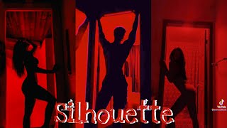 Silhouette Challenge Tik Tok Compilation [upl. by Nohsreg]