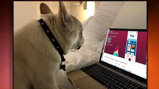 Libby Tutorial 2021 Learn How to to Access amp Download Free Books and Audiobooks [upl. by Trask]