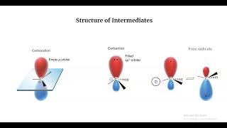 Carbocations Carbanions and Free Radicals [upl. by Omero]