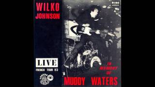 Wilko Johnson  Rolling And Tumbling  1983 [upl. by Nida]