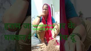 Teri thaa ke chukar mai Ghar hi shortvideo thaar trindinge comedy video viralshort [upl. by Llehsyt329]