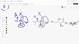 AAMC OFFICIAL FL5 Free Scored Practice BB Discrete Questions 1114 Explanations [upl. by Firman]