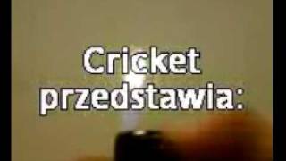 Cricket vs chusteczka nasączona spirytem [upl. by Cherilynn]